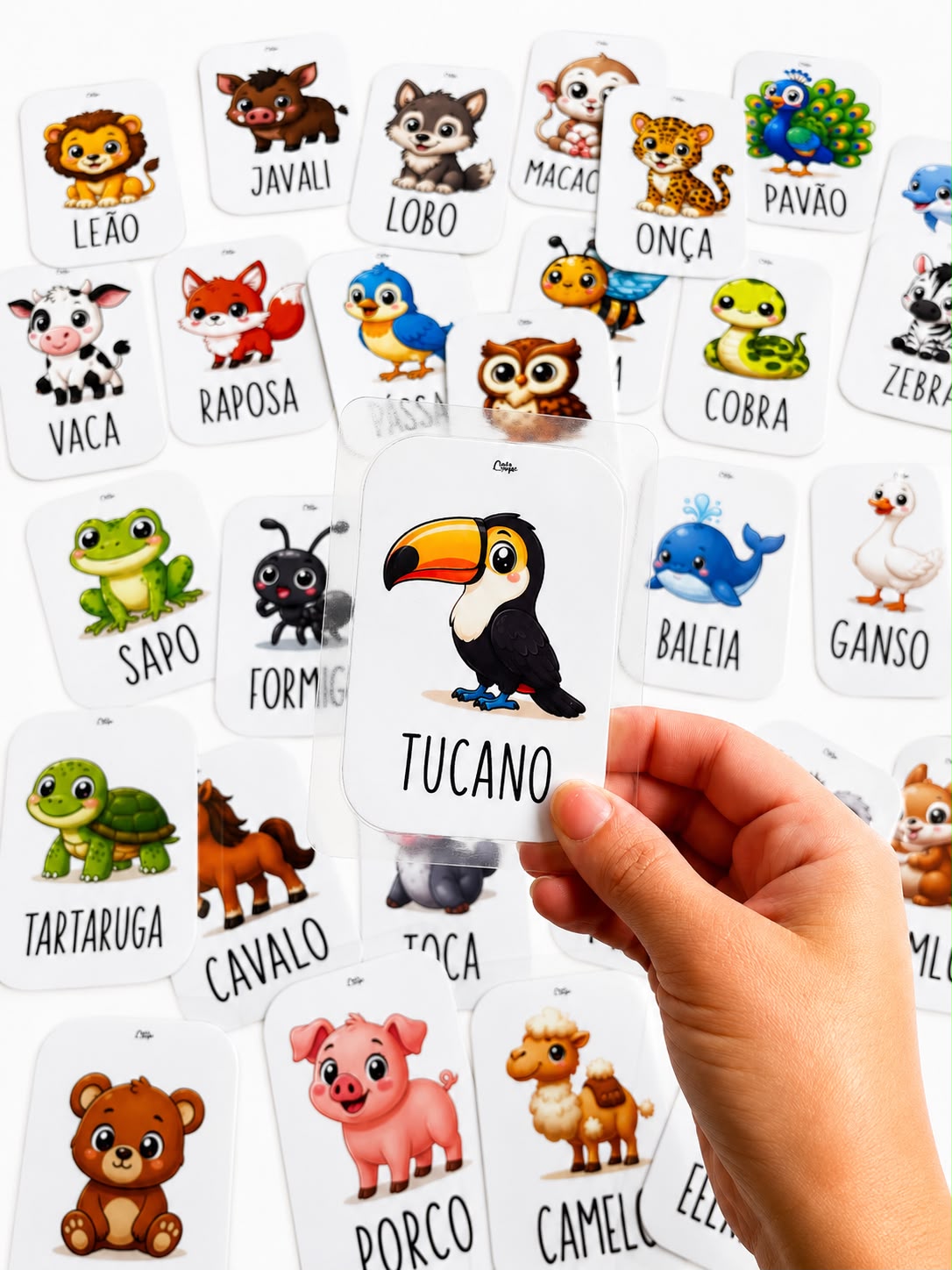 Mão segurando o cartão do Tucano com a coleção ao fundo